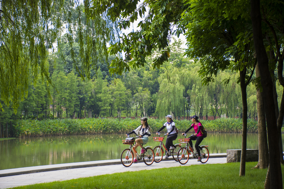 mmexport1504353231834[1]