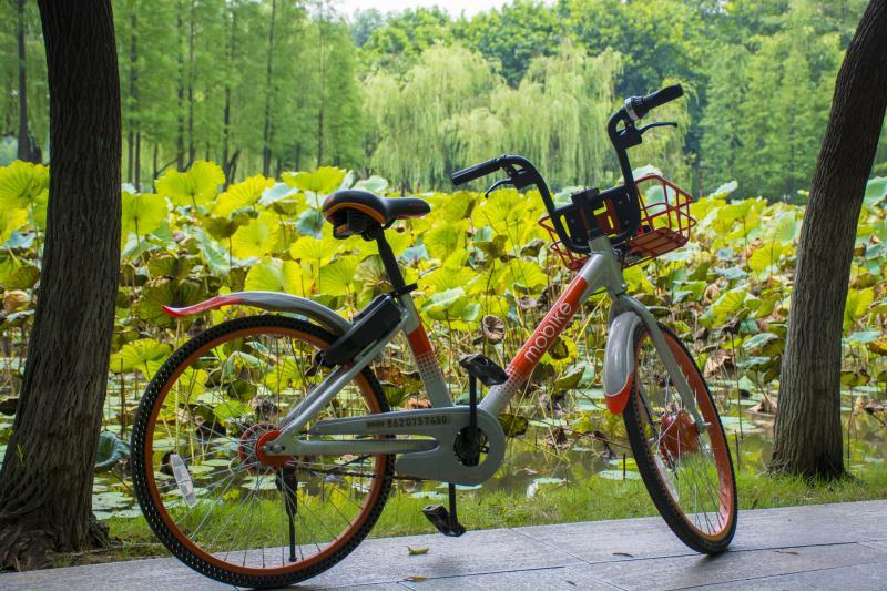 mmexport1504353317378