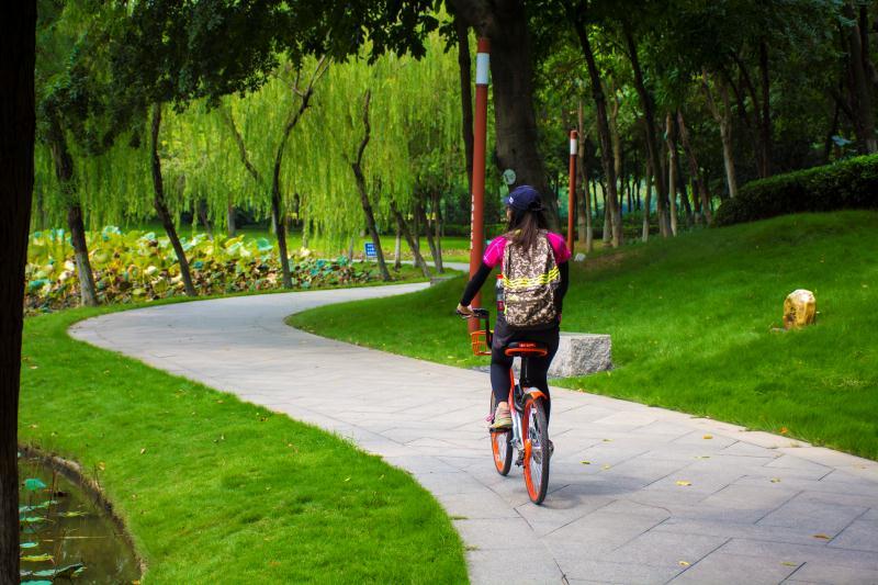 mmexport1504353374777