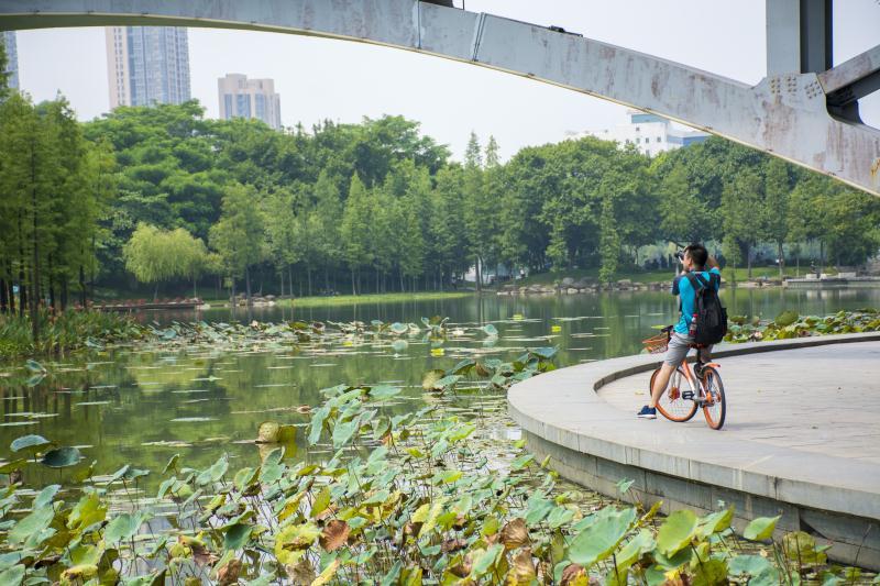 mmexport1504358280263