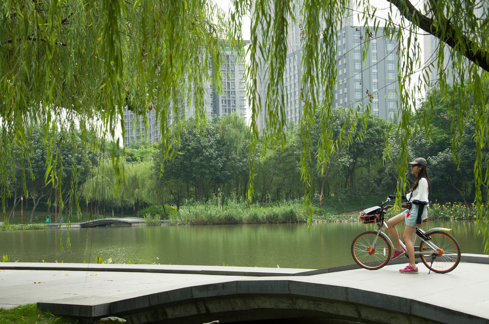 mmexport1504366969017