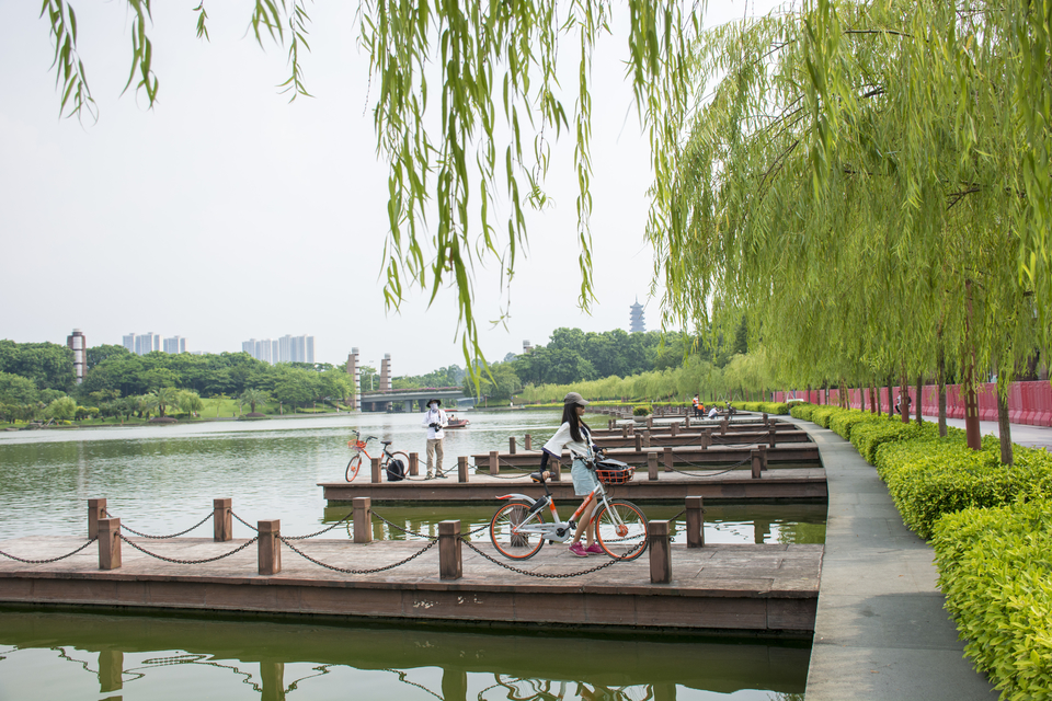 mmexport1504415380792