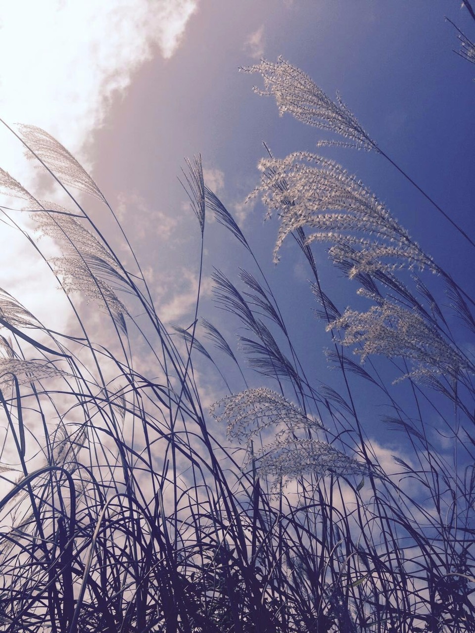 mmexport1512384354710