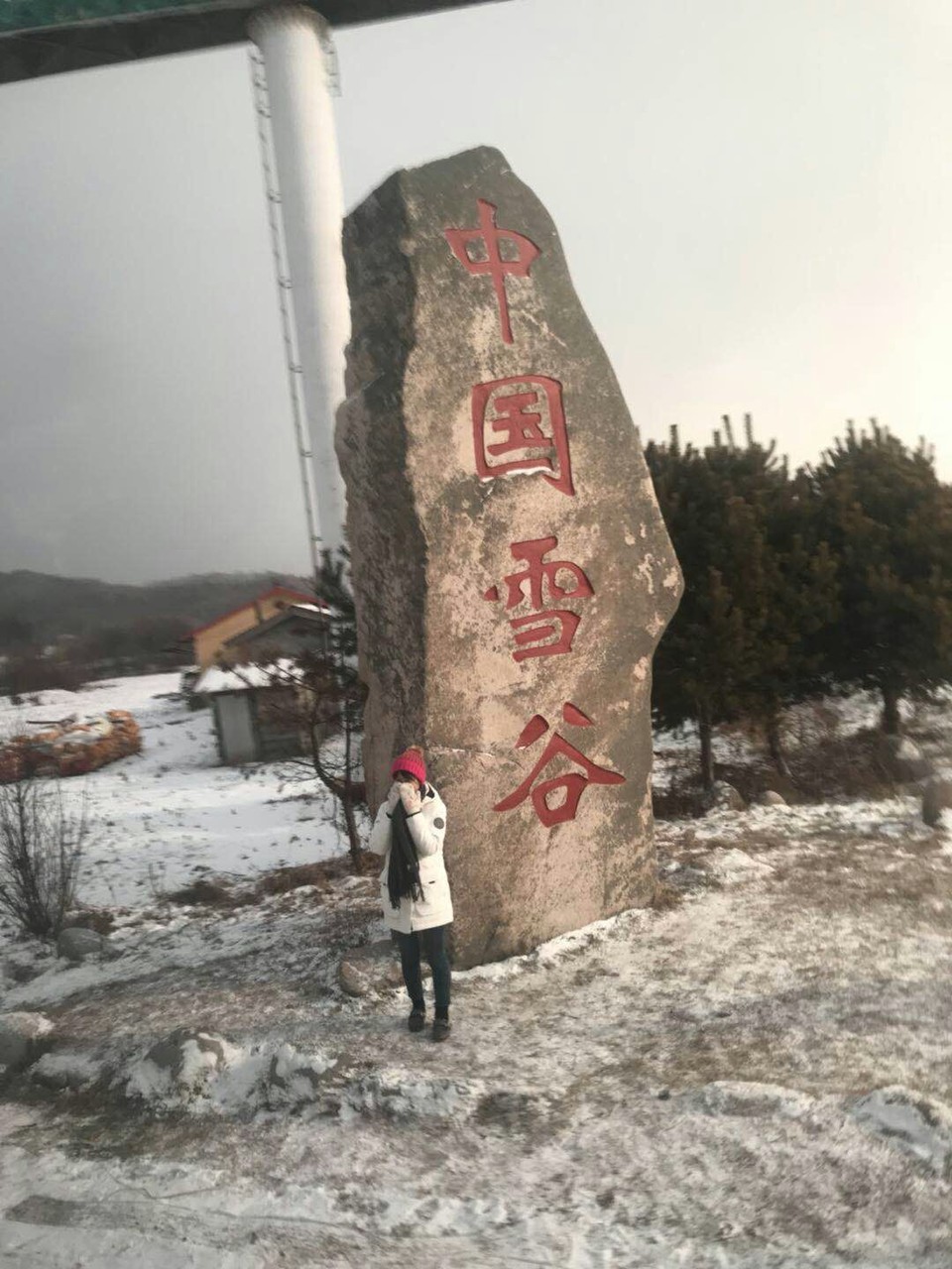 mmexport1511078838895