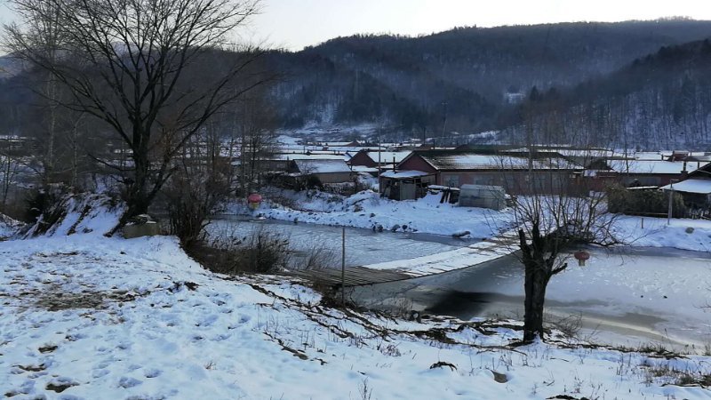 mmexport1511100890946