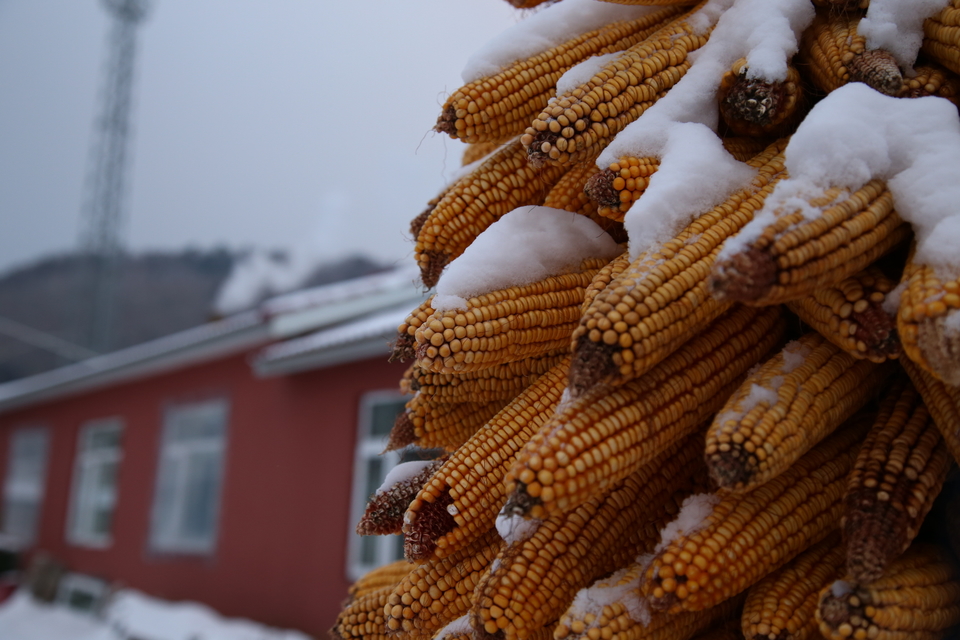 mmexport1511100898782