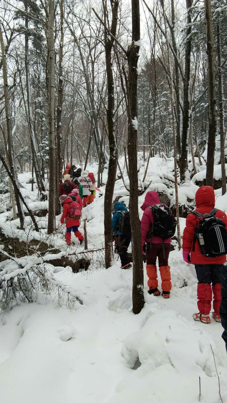 mmexport1511166280861