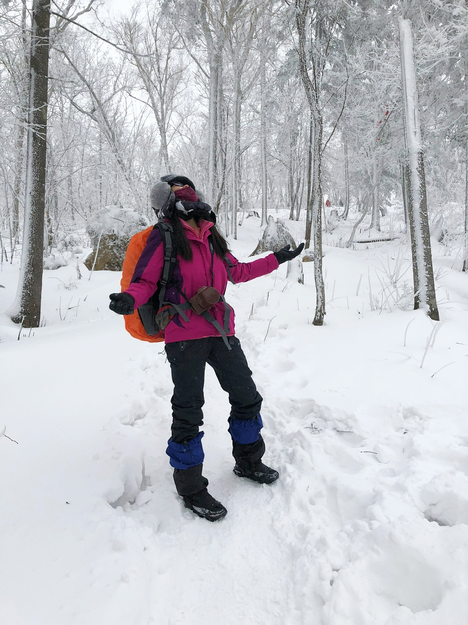 mmexport1511184570377_polarr