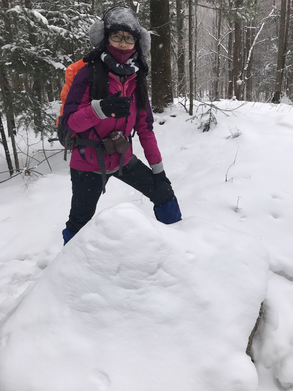 mmexport1511217310613