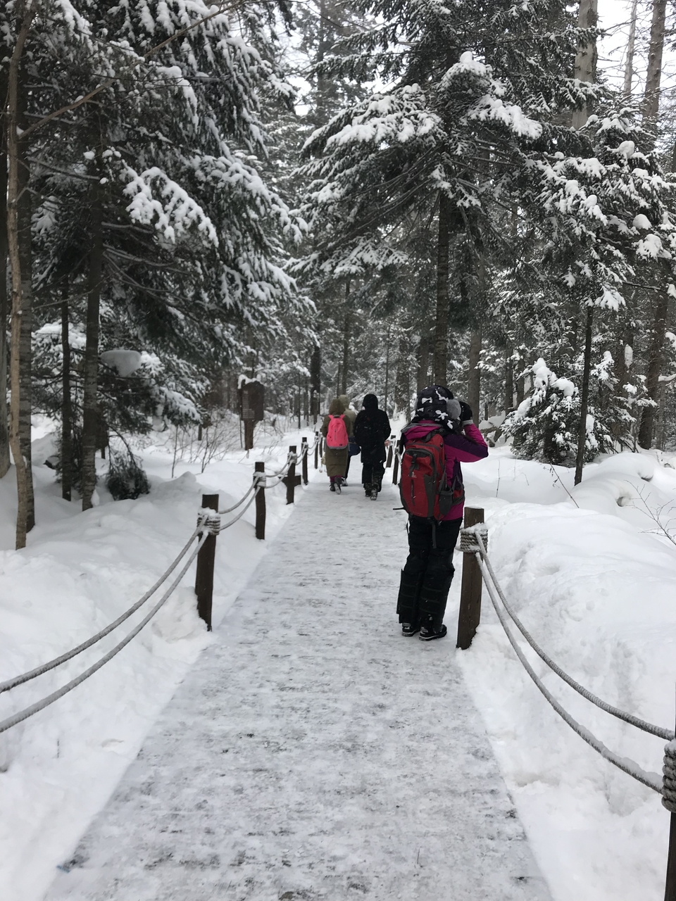 mmexport1511347008718