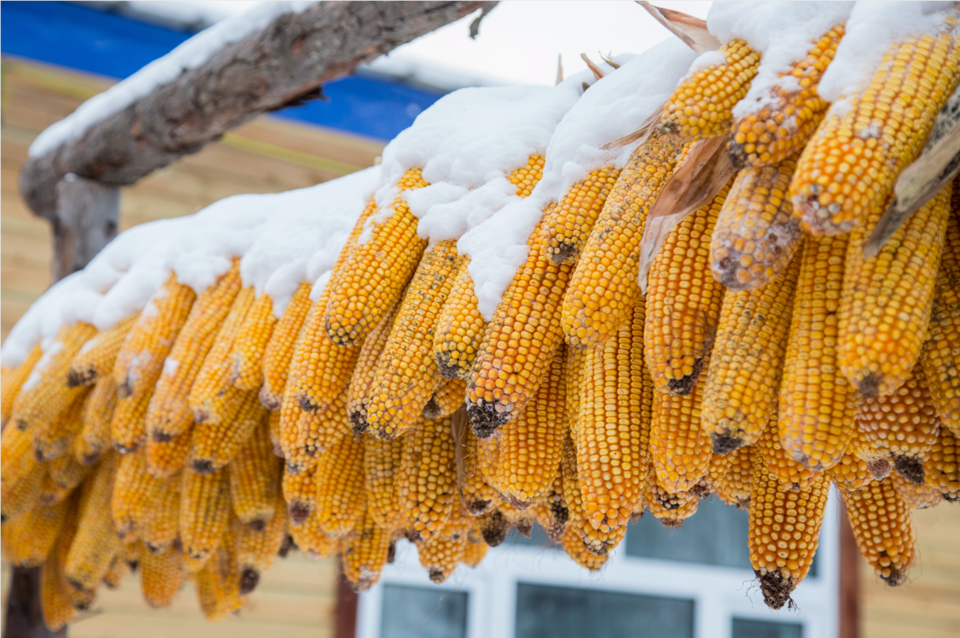 mmexport1511617129030