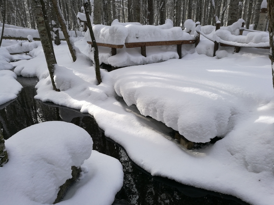 mmexport1511617639393