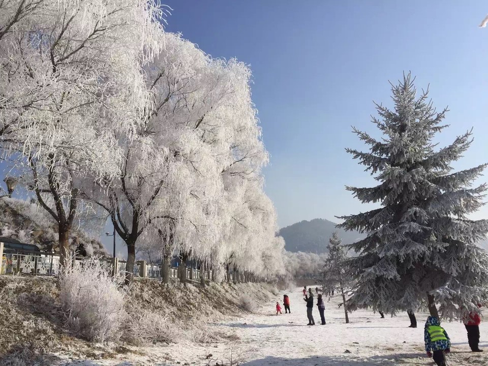 mmexport1511617928252