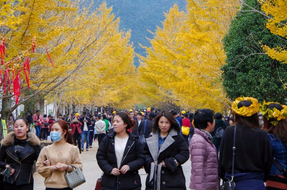 mmexport1512477271990