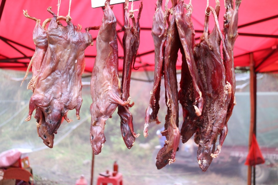 mmexport1512634515484