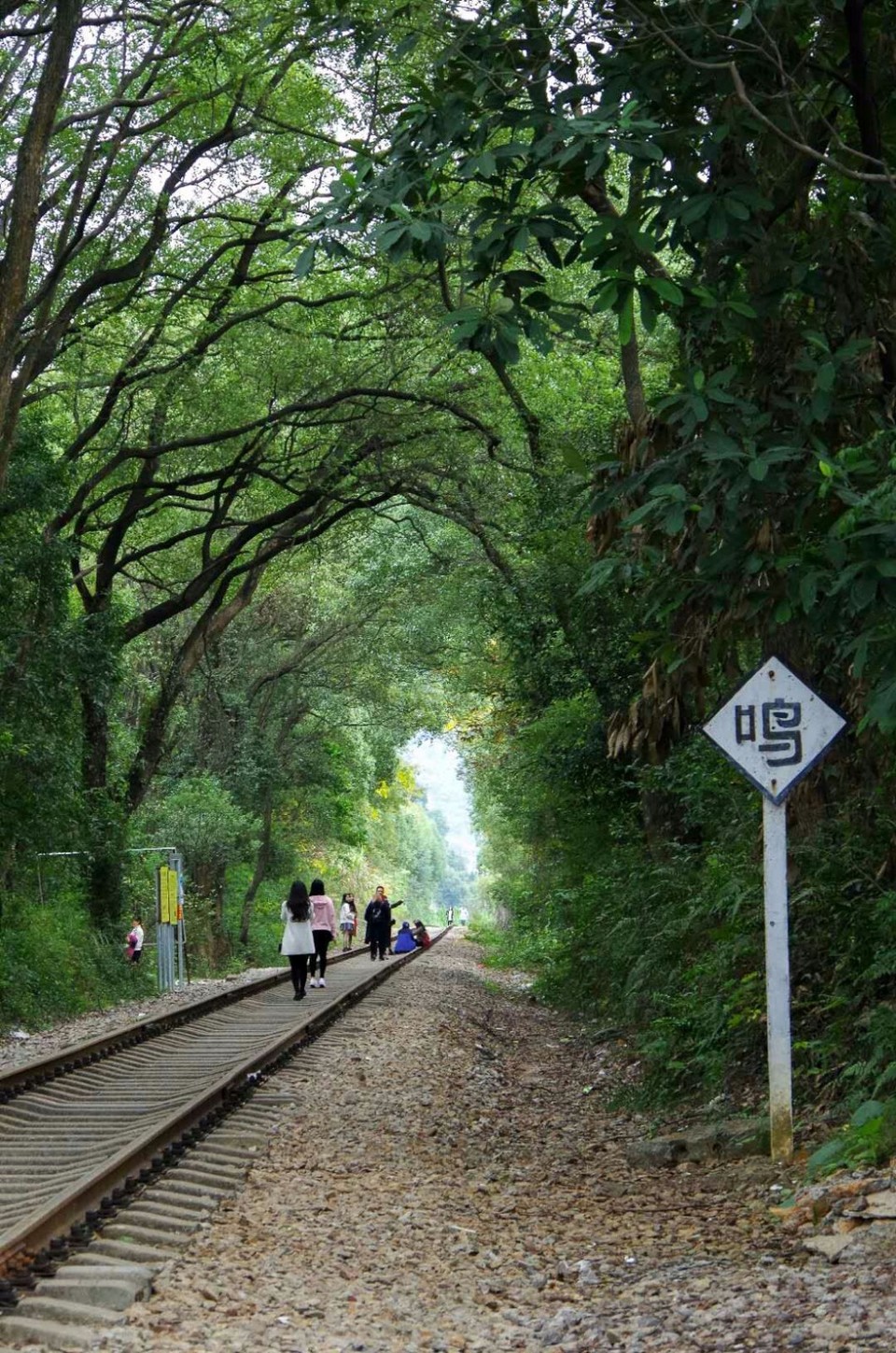 mmexport1512477324472