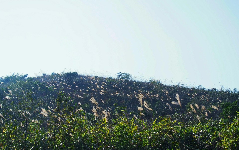 IMG_20171210_194858_polarr