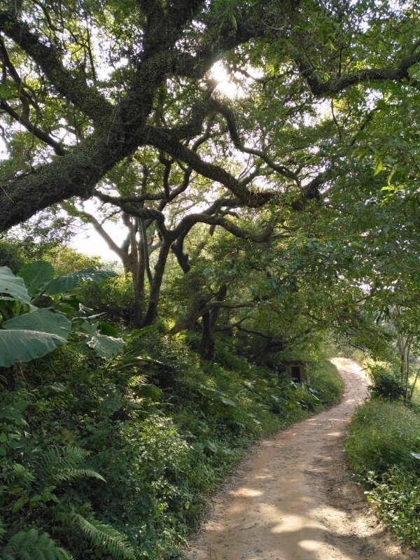 mmexport1512820870379