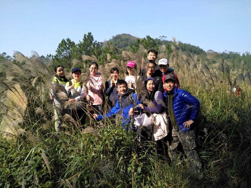 mmexport1512820858551