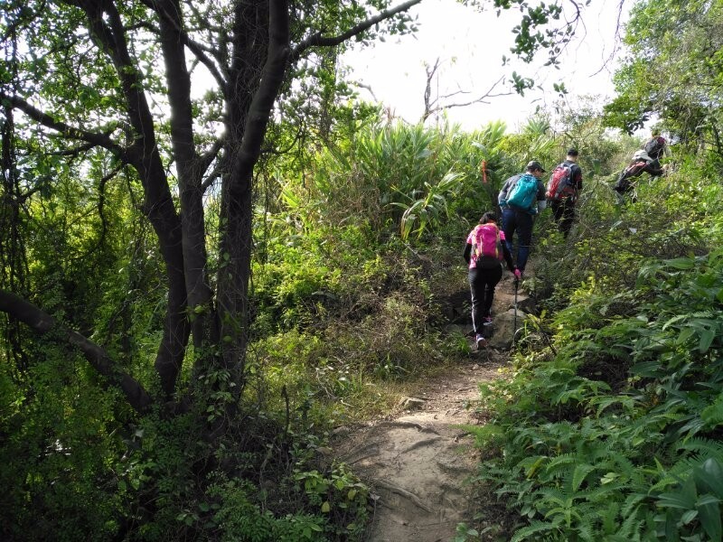 mmexport1512820596403