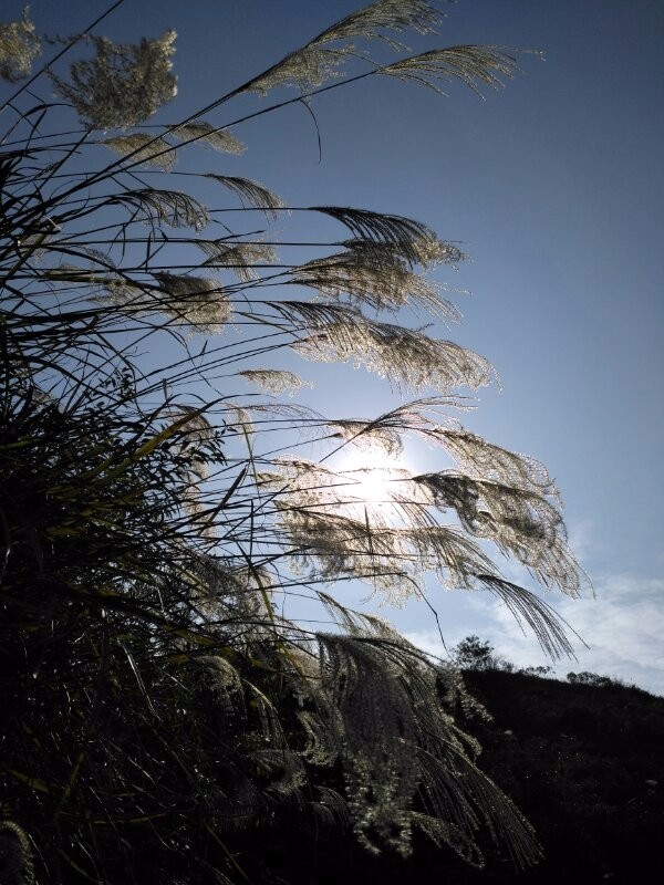 mmexport1512820562088