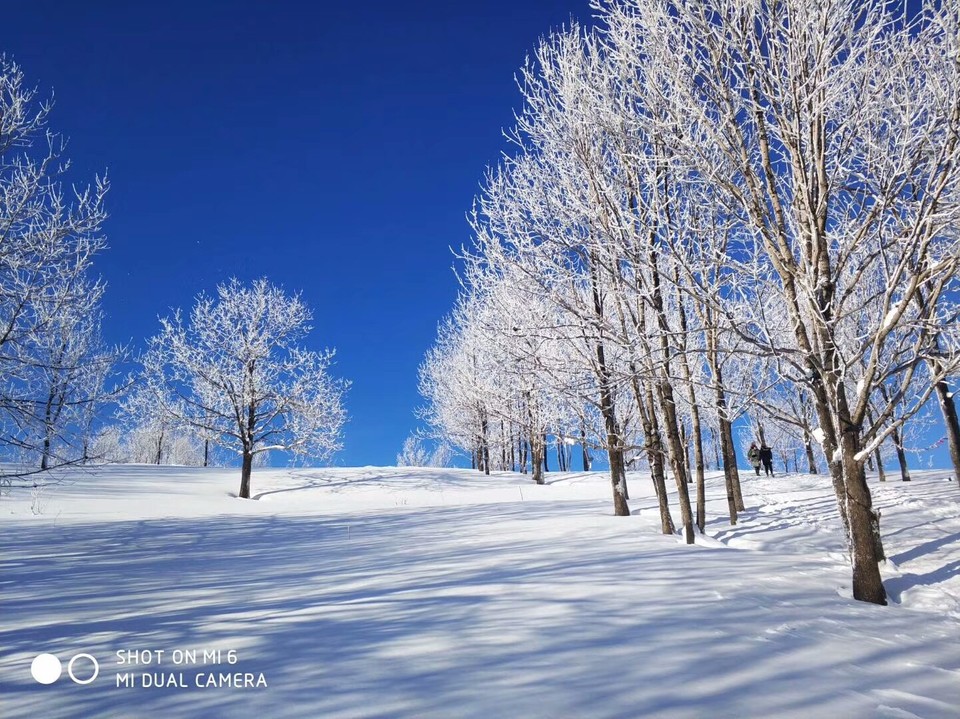 mmexport1513309806352