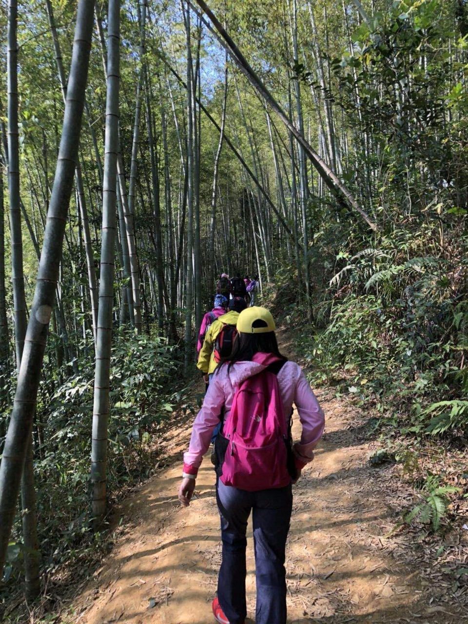 mmexport1514272614256