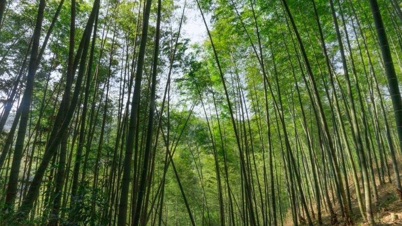 mmexport1514361922783