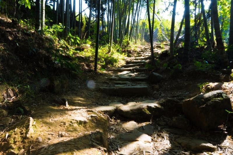 mmexport1514361931141