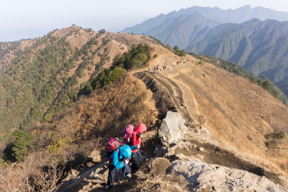 mmexport1514952795816