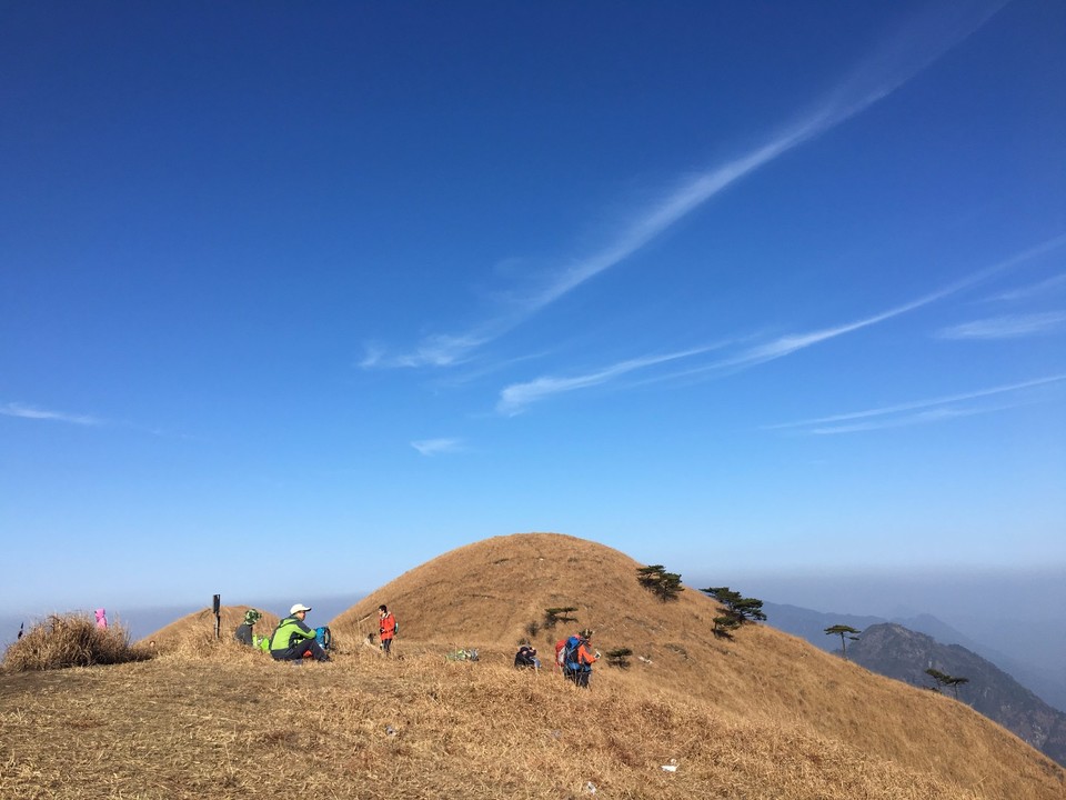 mmexport1514953509382