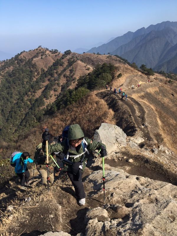 mmexport1514953625021