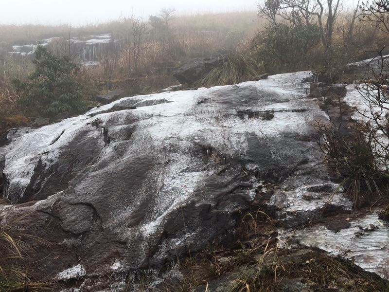 mmexport1514953726886