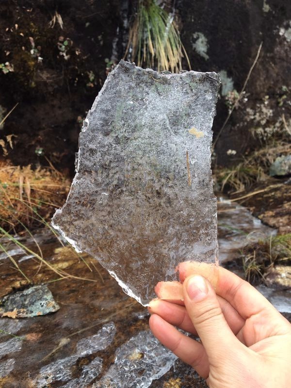 mmexport1514953735117