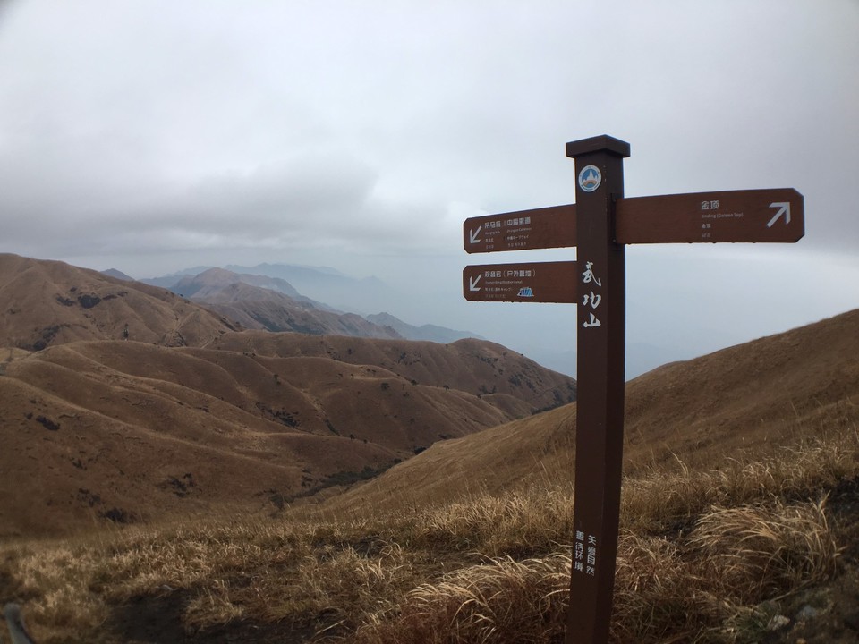 mmexport1514953747312