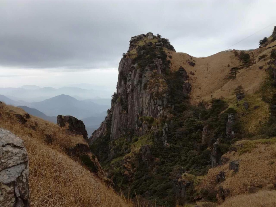 mmexport1514953756862