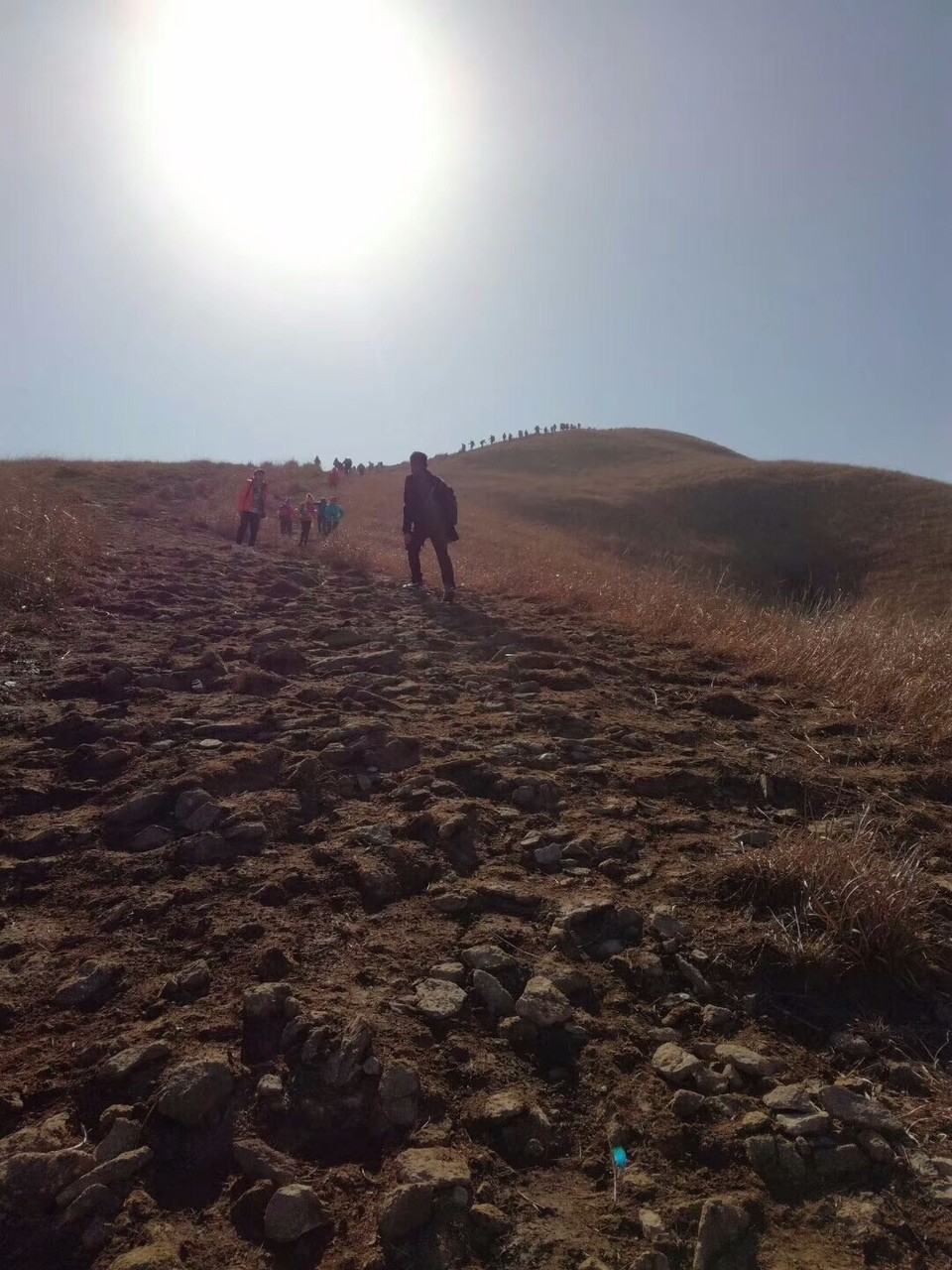 mmexport1514954572685