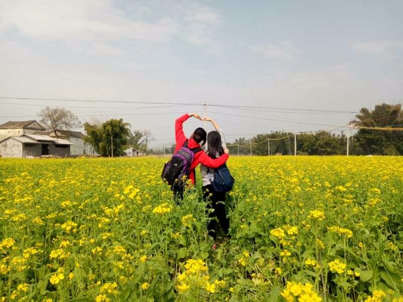 mmexport1516590743355