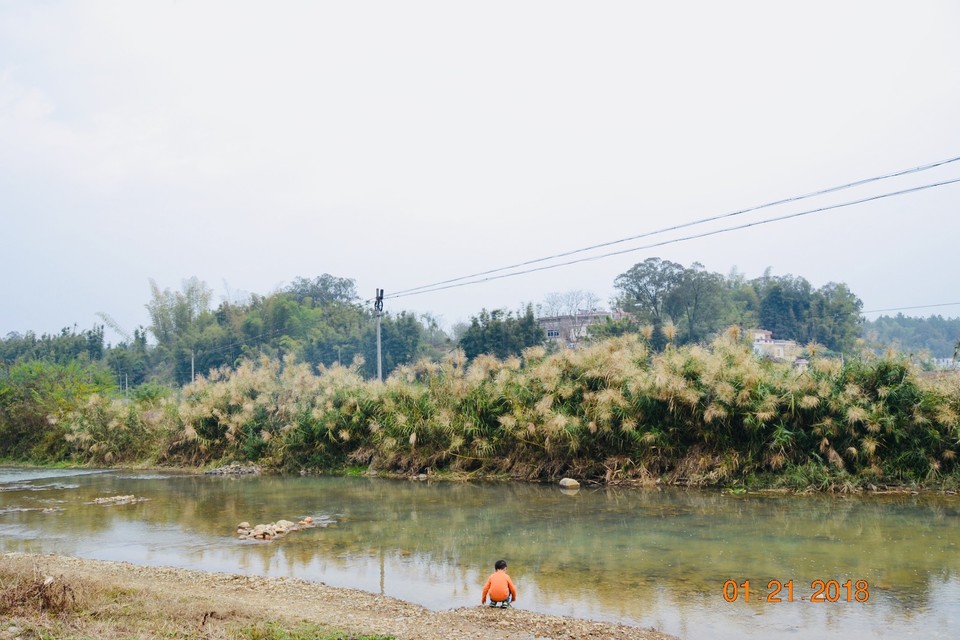 mmexport1516614055671