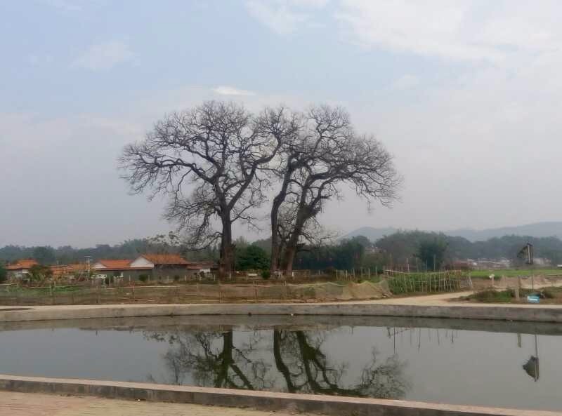 mmexport1516545916085