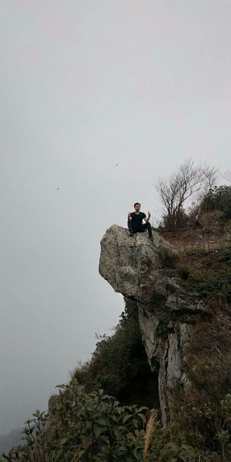 mmexport1516694458083