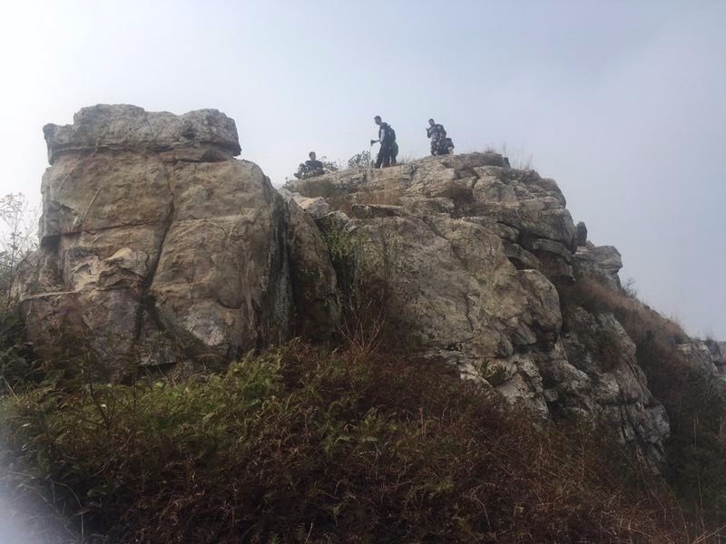 mmexport1516694279423