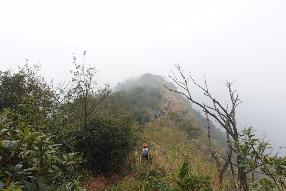 mmexport1516694308904