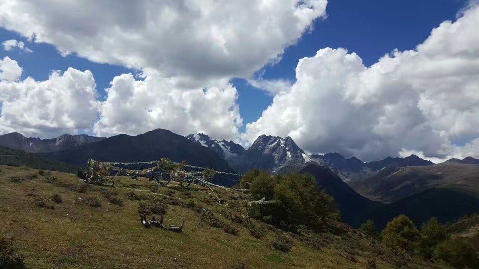 mmexport1519372599591