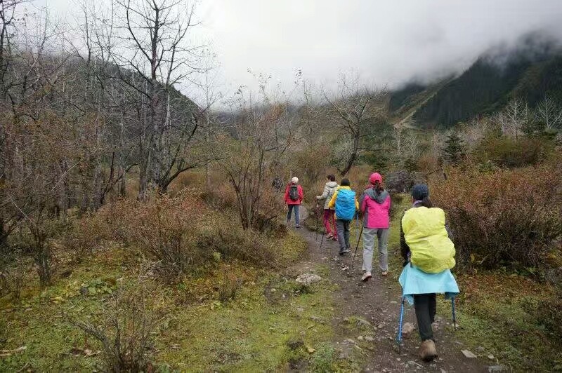 mmexport1519372613246