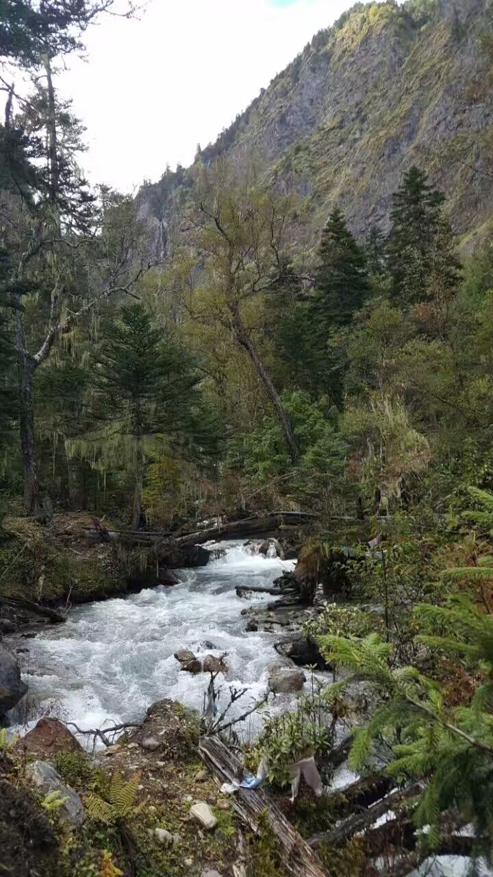 mmexport1519372659312