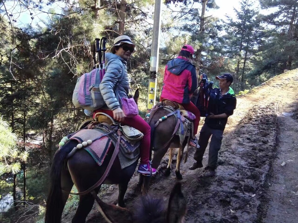 mmexport1519372804961