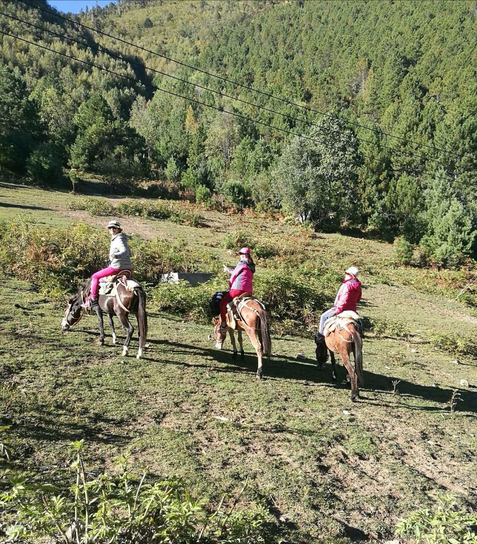 mmexport1519372808294