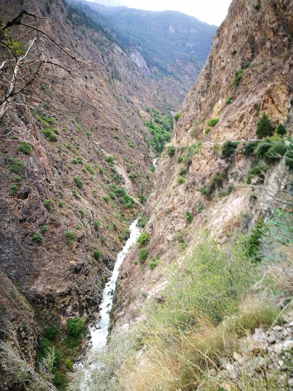 mmexport1519372876567