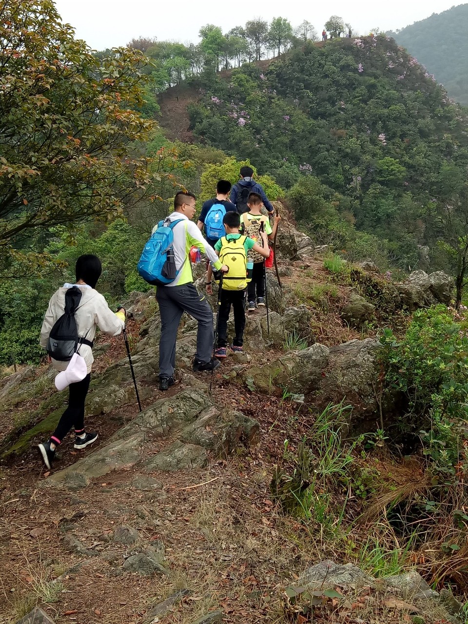 mmexport1521446241404